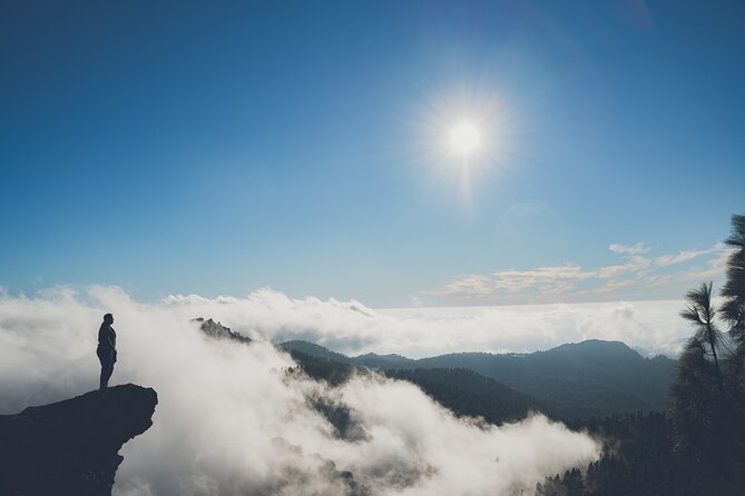 Custom Private & VIP Highlights Tour of Gran Canaria - Cancellation Policy