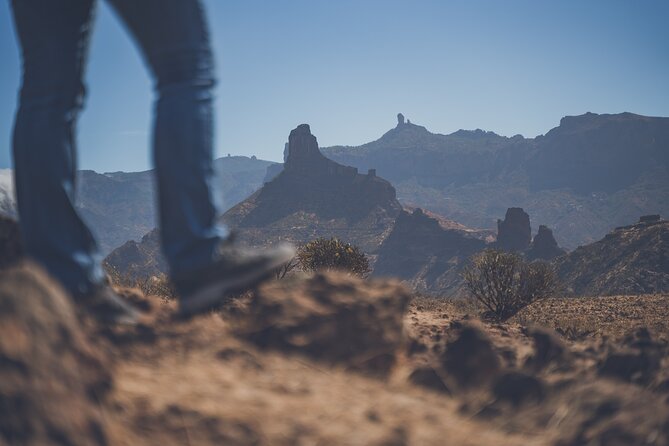 Custom Private & VIP Highlights Tour of Gran Canaria - Customer Reviews