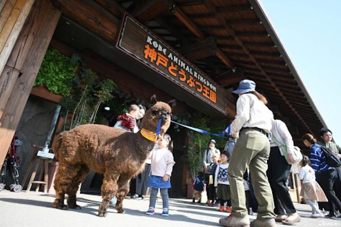 Custom Tour in KOBE With Private Car & Driver [Max 4 Pax] - Group Size and Accessibility