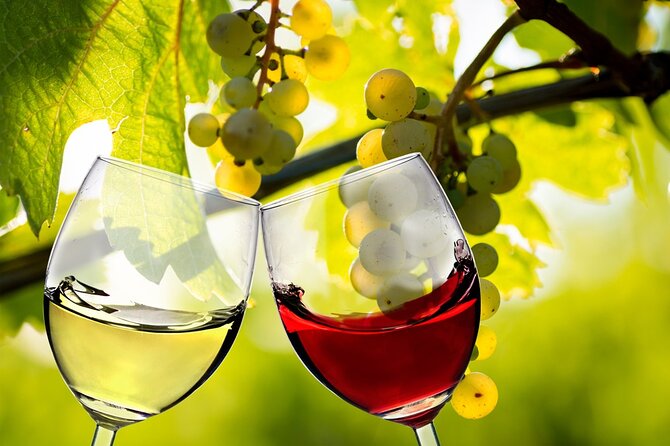Custom Wine, Beer, and Spirits Tours - Convenient Amenities