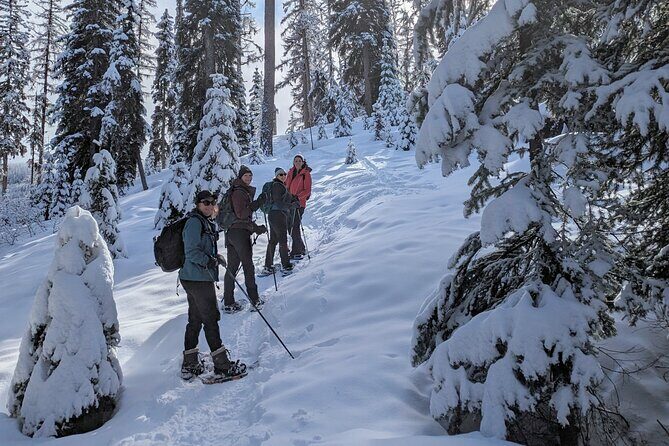 Custom Winter Hiking Trip Planning and Rental Equipment - The Sum Up