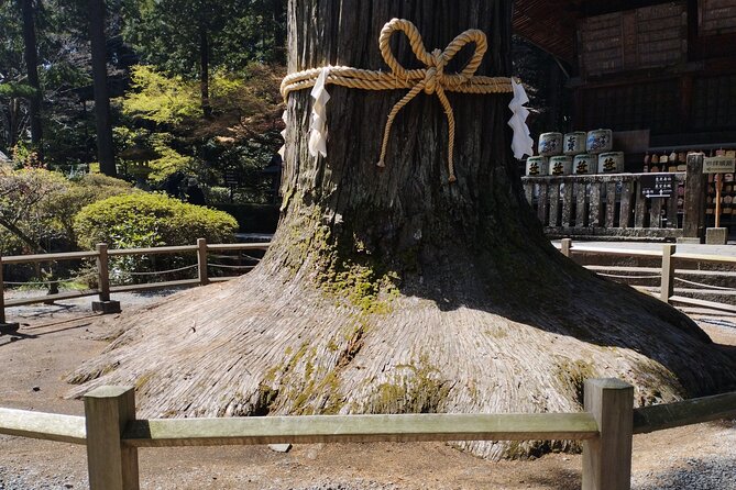 Customisable Mt.Fuji Private Day Trip, English Speaking Driver - Pickup and Departure Information