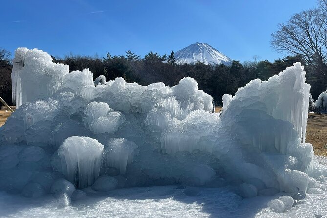 Customisable Mt.Fuji Private Day Trip, English Speaking Driver - Customer Reviews