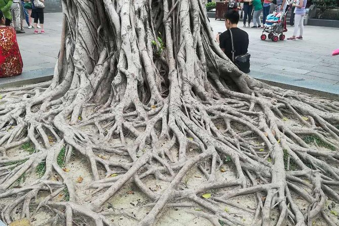 Customised Private Guangzhou City Tour With Flexible Itinerary - Discover Hidden Gems and Local Experiences