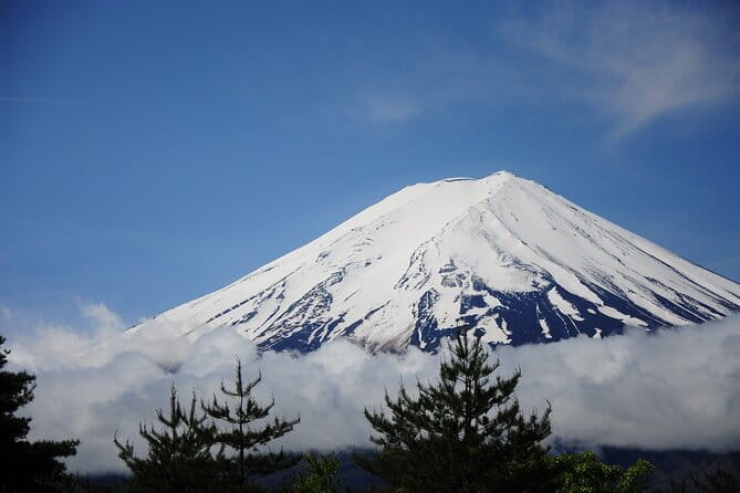 Customizable 10 Hour Private Tour From Tokyo to Mount Fuji - Inclusions