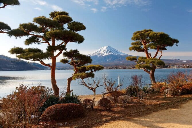 Customizable 10 Hour Private Tour From Tokyo to Mount Fuji - Accessibility and Participation