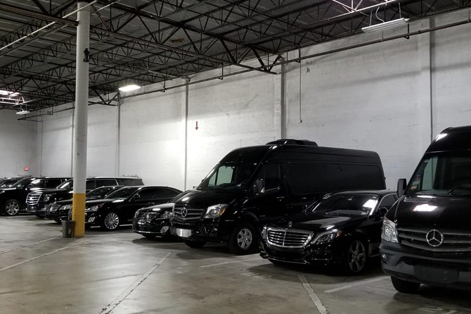 Customizable 4 Hour Private Miami City Tour - Tour Reviews