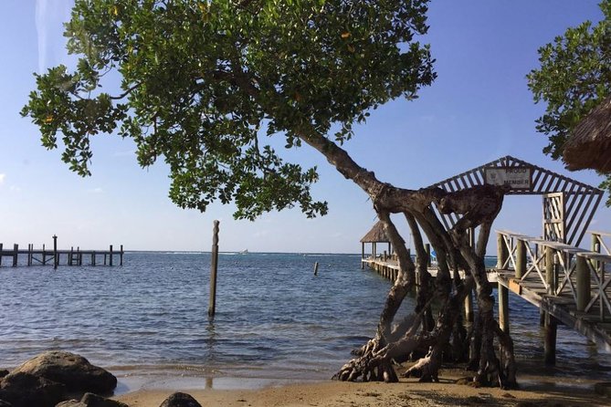 Customizable Best Of Roatan Island Tour in Honduras - Health and Safety Measures