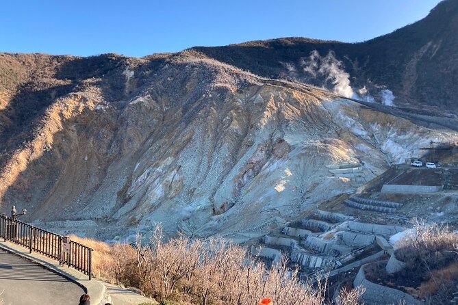 Customizable Hakone-Mt.Fuji Private Day Trip, Eng Speaking Driver - Cancellation and Booking Information
