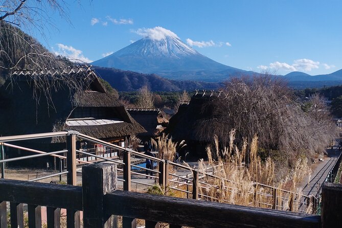Customizable Hakone-Mt.Fuji Private Day Trip, Eng Speaking Driver - Customer Feedback