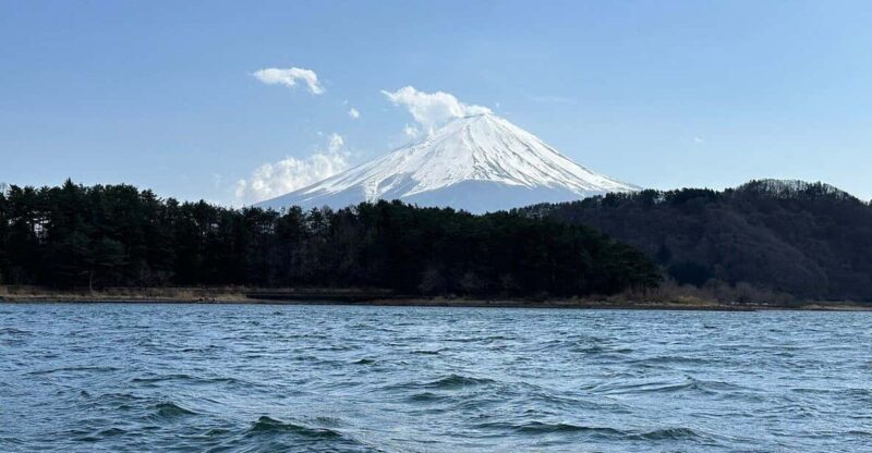 Customizable Mount Fuji Private Tour/ Eng Speaking Driver - Highlights of the Tour
