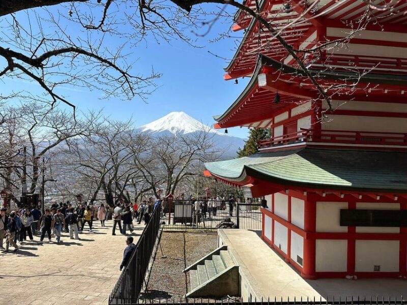 Customizable Mount Fuji Private Tour/ Eng Speaking Driver - Oshino Hakkai Village