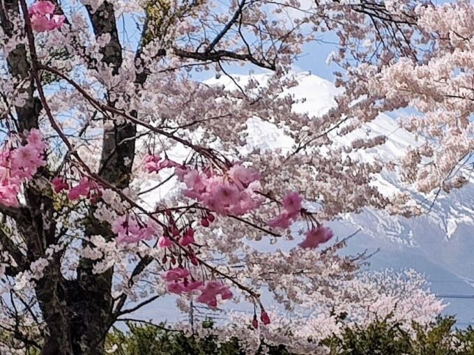 Customizable Mount Fuji Private Tour/ Eng Speaking Driver - Lava Tube Caves