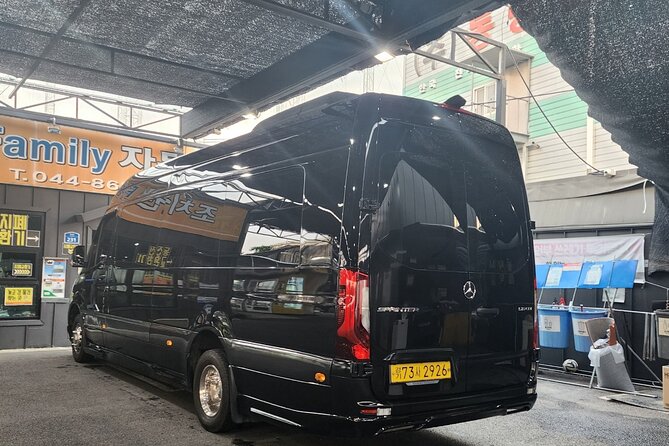 Customizable Private Seoul Tour in Luxury Van for VIP - Gyeongbokgung Palace