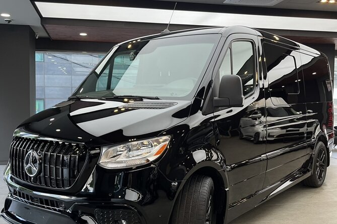 Customizable Private Seoul Tour in Luxury Van for VIP - Pricing and Availability