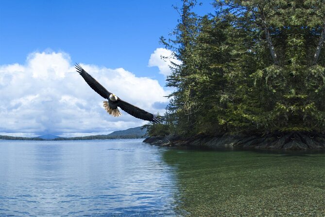 Customizable Private Tour in Ketchikan With Pick up - Comfortable Private Transportation