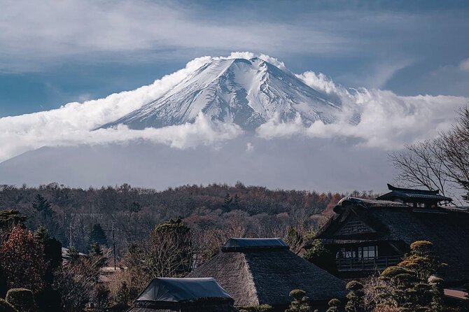 Customizable Private Tour in Mt Fuji From Tokyo by Car or Van - Inclusions and Highlights