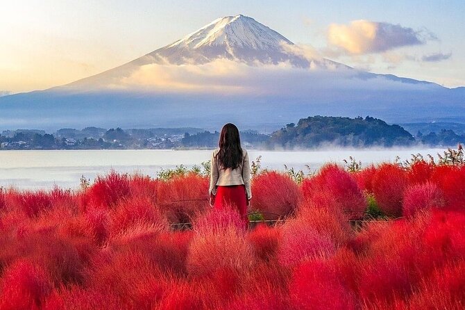 Customizable Private Tour in Mt Fuji From Tokyo by Car or Van - Pickup and Start Time Details