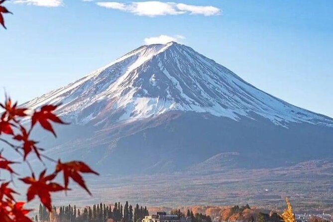 Customizable Private Tour in Mt Fuji From Tokyo by Car or Van - Confirmation and Accessibility