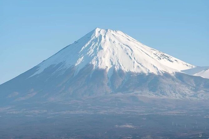 Customizable Private Tour in Mt Fuji From Tokyo by Car or Van - Group Size and Exclusivity