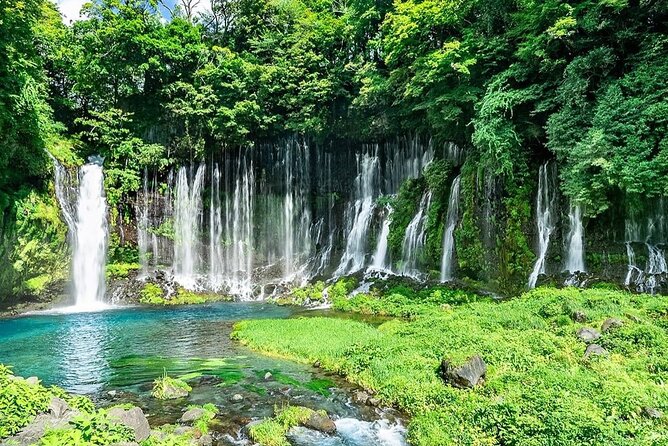Customizable Private Tour in Mt Fuji From Tokyo by Car or Van - Pricing and Cancellation Policy