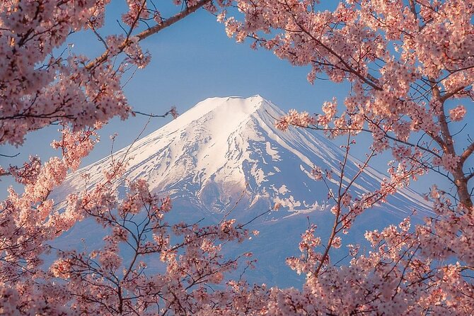 Customizable Private Tour in Mt Fuji From Tokyo by Car or Van - Customer Feedback and Review Check