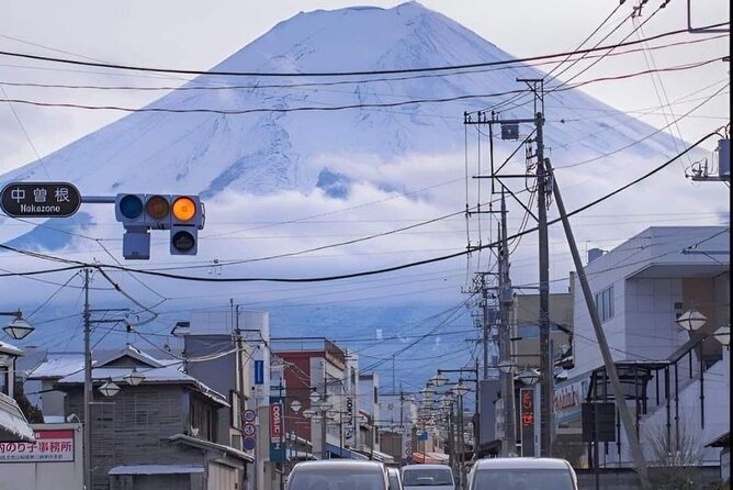 Customizable Private Tour in Mt Fuji From Tokyo by Car or Van - Booking and Customization Options