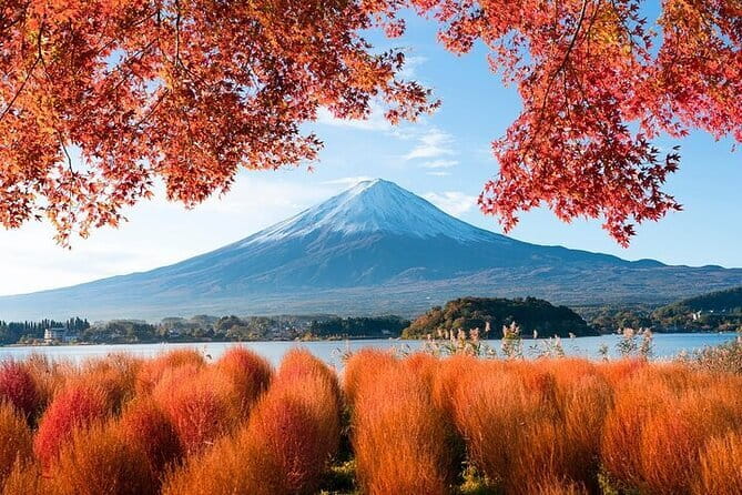 Customizable Private Tour in Mt. Fuji With Private Driver - Inclusions
