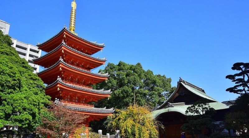 Customizable Walking Tour With Ramen Tasting and Local Guide - Important Information