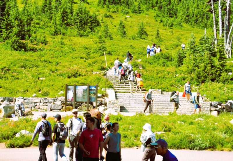 Customized Mount Rainier Tour From Seattle - Pickup and Itinerary Details