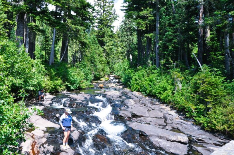 Customized Mount Rainier Tour From Seattle - Important Information
