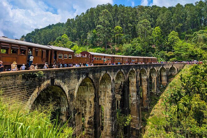 Customized Multi-Day Private Tour Packages in Sri Lanka - Key Points
