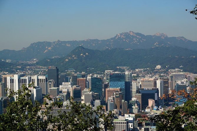 Customized Private Seoul Tour: Palace, Market Etc(Airport Option) - Inclusions and Pricing