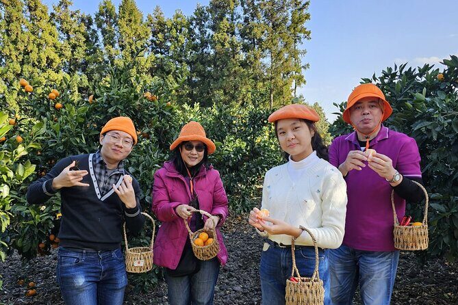 Customized private tour in Jeju island - FAQ