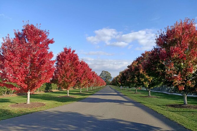 Customized Private Winery Day Tour in Yarra Valley at Your Own Choices - Private Transportation