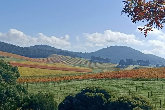 Customized Private Winery Day Tour in Yarra Valley at Your Own Choices - Experienced Host