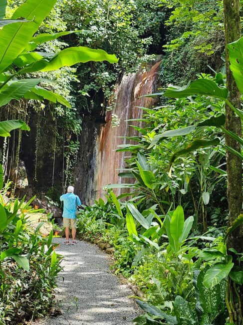 Customized St Lucian Private Island Tour - The Itinerary: What You Can Expect
