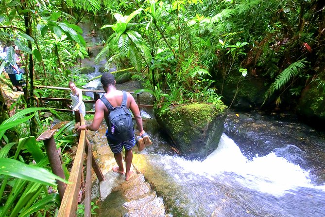 Customized Suva Day Tour - Tour Highlights