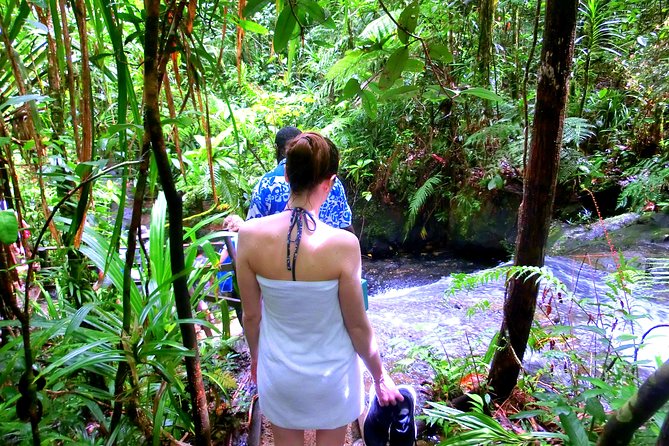 Customized Suva Day Tour - Itinerary Selection