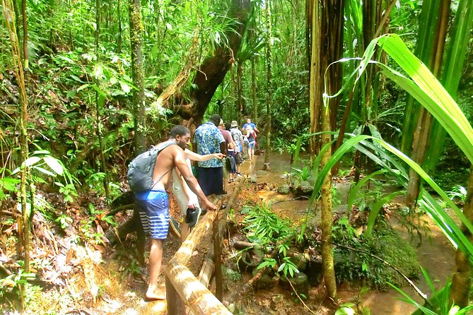 Customized Suva Day Tour - Guide Expertise