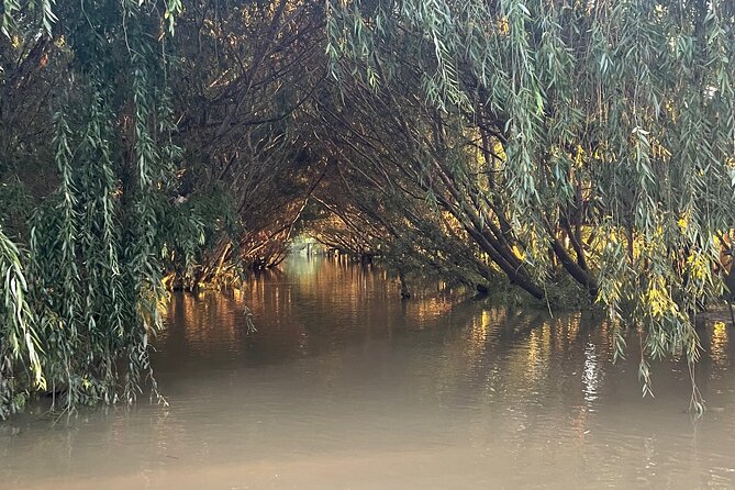 Customized Tigre Delta Tour Lunch and Drink Included - Included Experiences