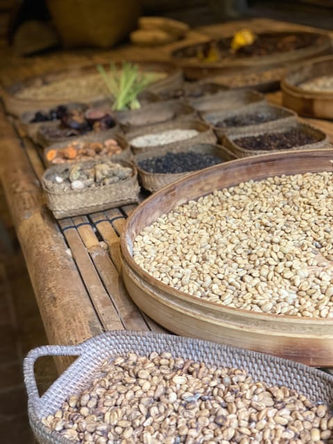 Customized Tours for Every Wandere in Bali - Coffee Plantation Experience