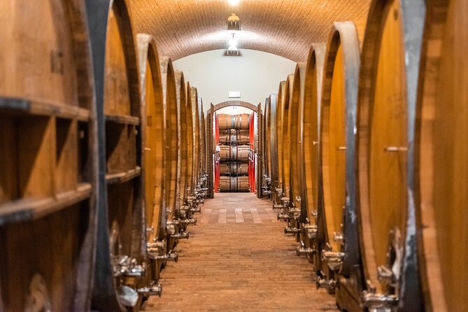 Custoza Doc 2 Hours Wine Tasting With Lunch at the Winery - Highlights of the Lunch at the Winery