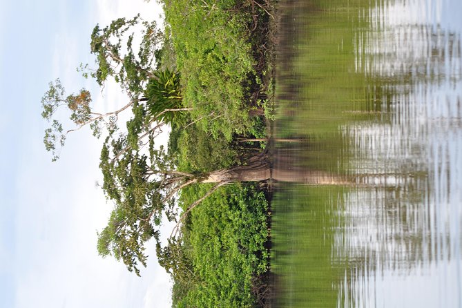 Cuyabeno 4 Day Jungle Tour - Tour Overview