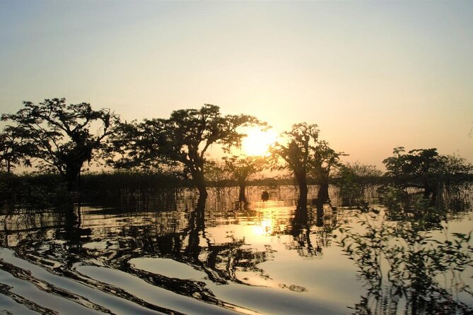 Cuyabeno Dolphin Lodge Https://Cuyabenodolphinlodge.Com/ - Activities and Excursions