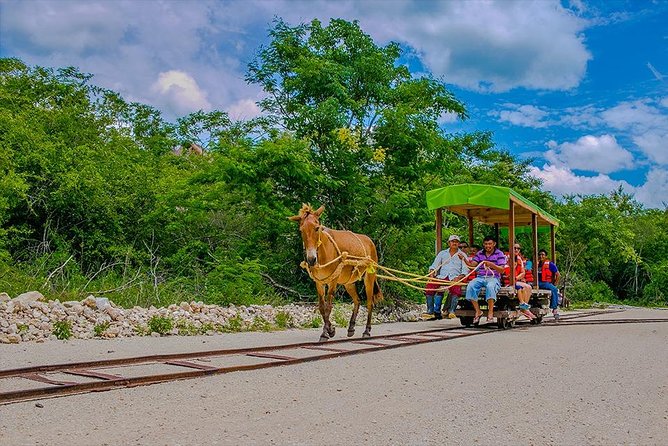 Cuzama Cenotes Adventure Day Trip - Cenote Visits