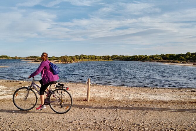 Cycle Albufera Lake, Rice Fields Paella and Boat Ride With Beach - Key Points