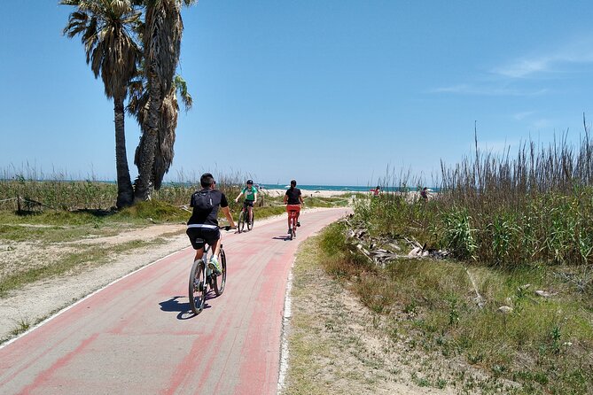 Cycle Albufera Lake, Rice Fields Paella and Boat Ride With Beach - Health and Safety