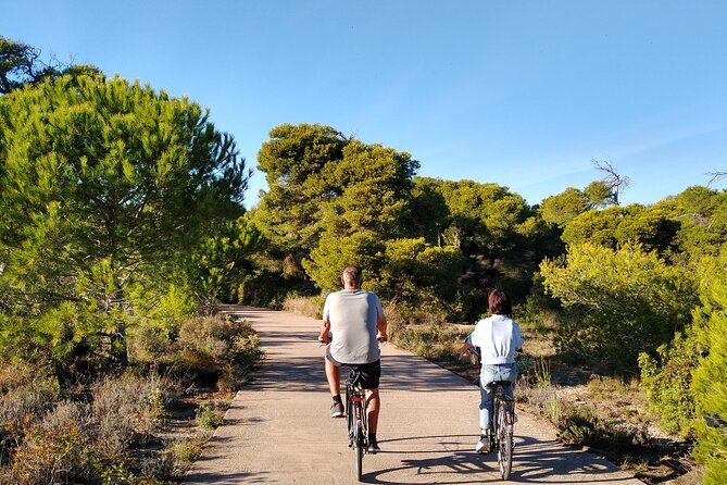 Cycle Albufera Lake, Rice Fields Paella and Boat Ride With Beach - Reviews and Ratings
