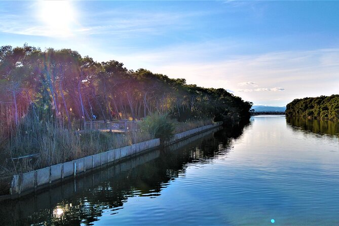 Cycle Albufera Lake, Rice Fields Paella and Boat Ride With Beach - Cycling Around Albufera Lake
